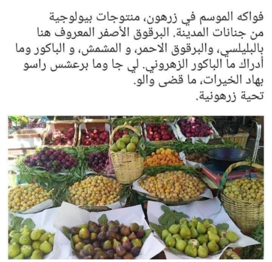 Riad Lala Zakia Moulay Idriss Kültér fotó